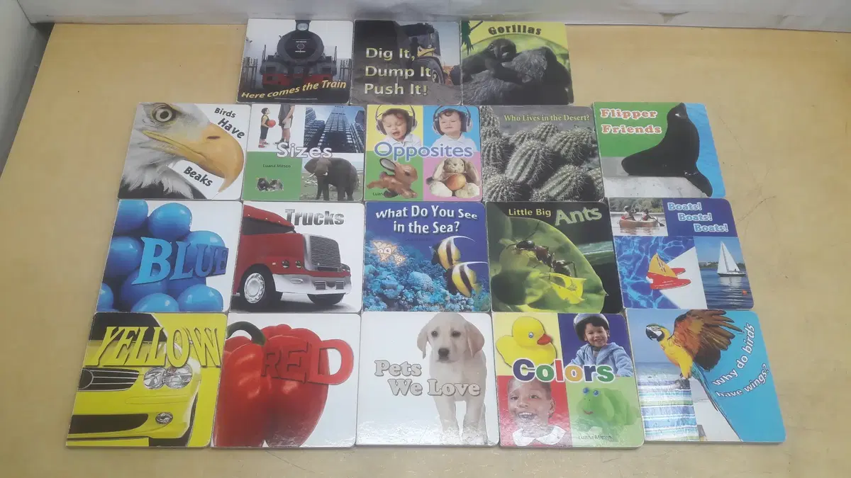 R B B Roucke Board Books 18권